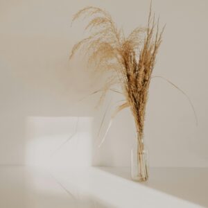 Dried grass elegantly displayed in a clear glass vase, perfect for modern home decor and minimalist style.